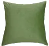 Green Accent Pillow