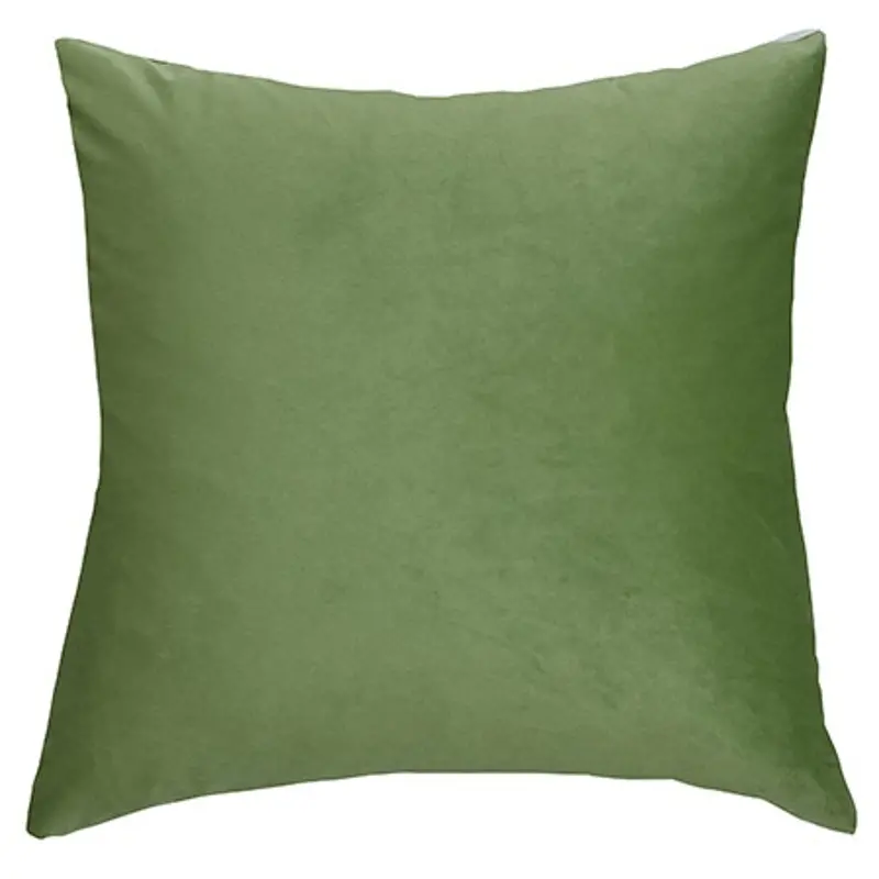 Green Accent Pillow