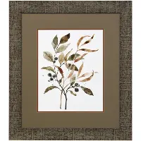 34  Preserved Leaves Art