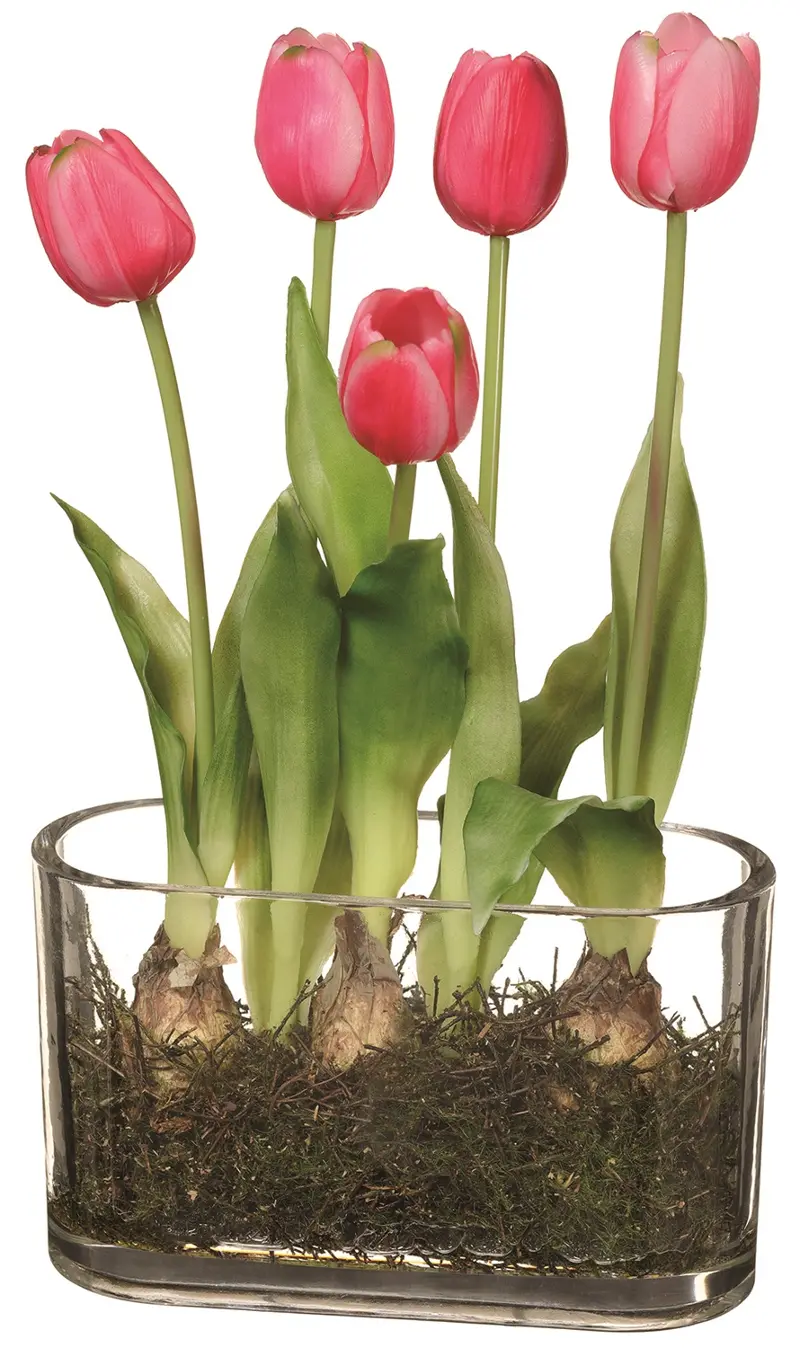 13 Inch Red Tulips in Glass Vase
