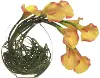 Yellow 14  Calla Lilly and Grass in Glass Vase