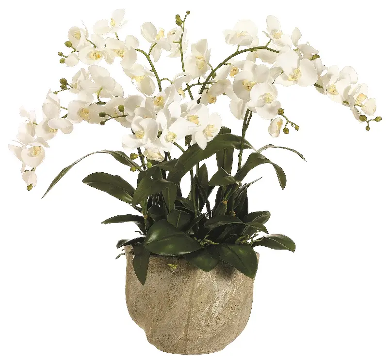 White 30