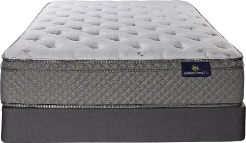 定価33,000円 T-PROFESSIONAL THE PERFECT BOX T-PROFESSIONAL」の人気商品一覧 | 安い商品を通販サイトから