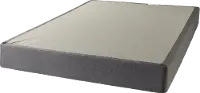 123499-5020 Serta Perfect Sleeper Standard Twin-XL Box Spring