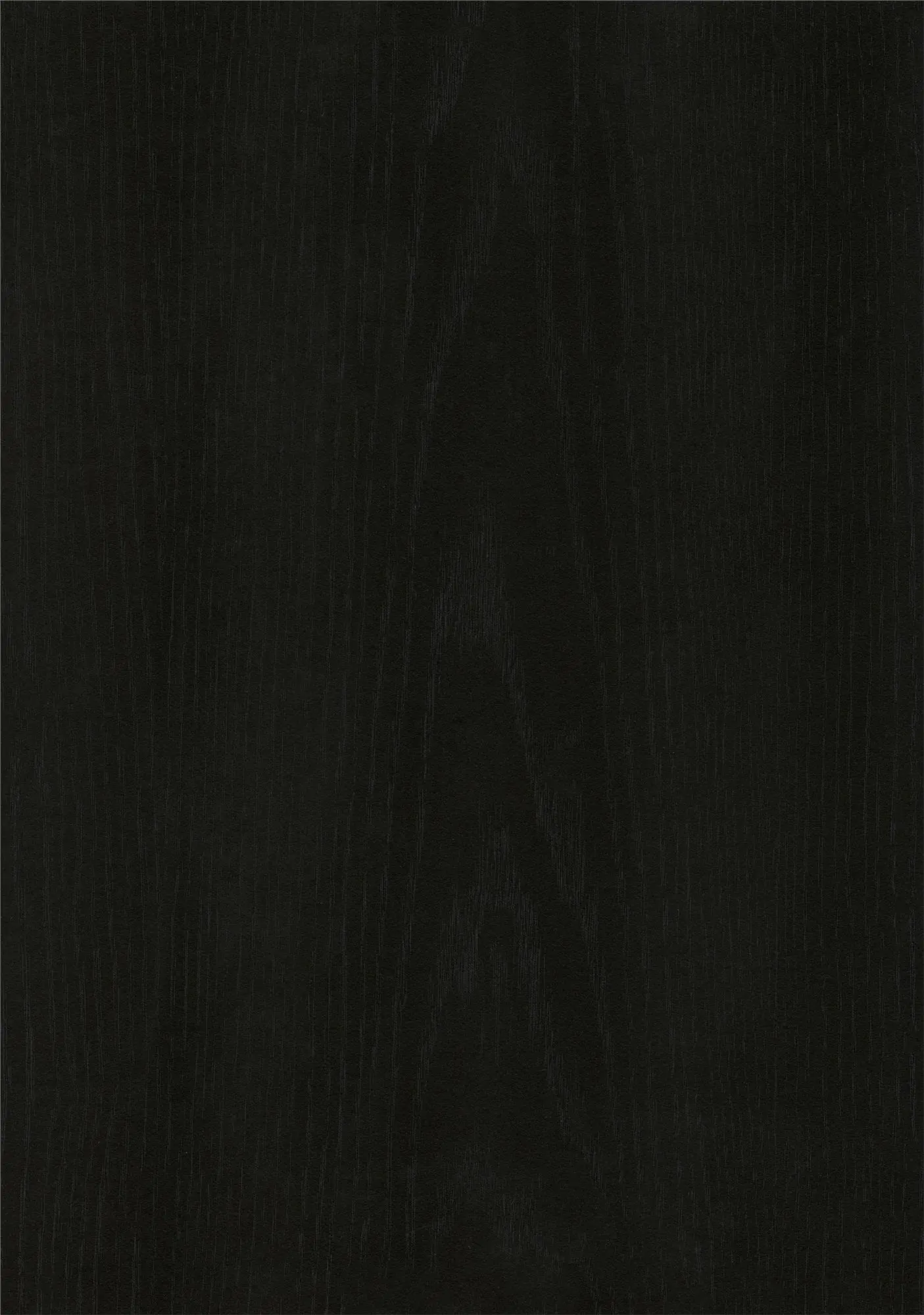 Camberly Black Oak Tall Asymmetrical Cabinet-6