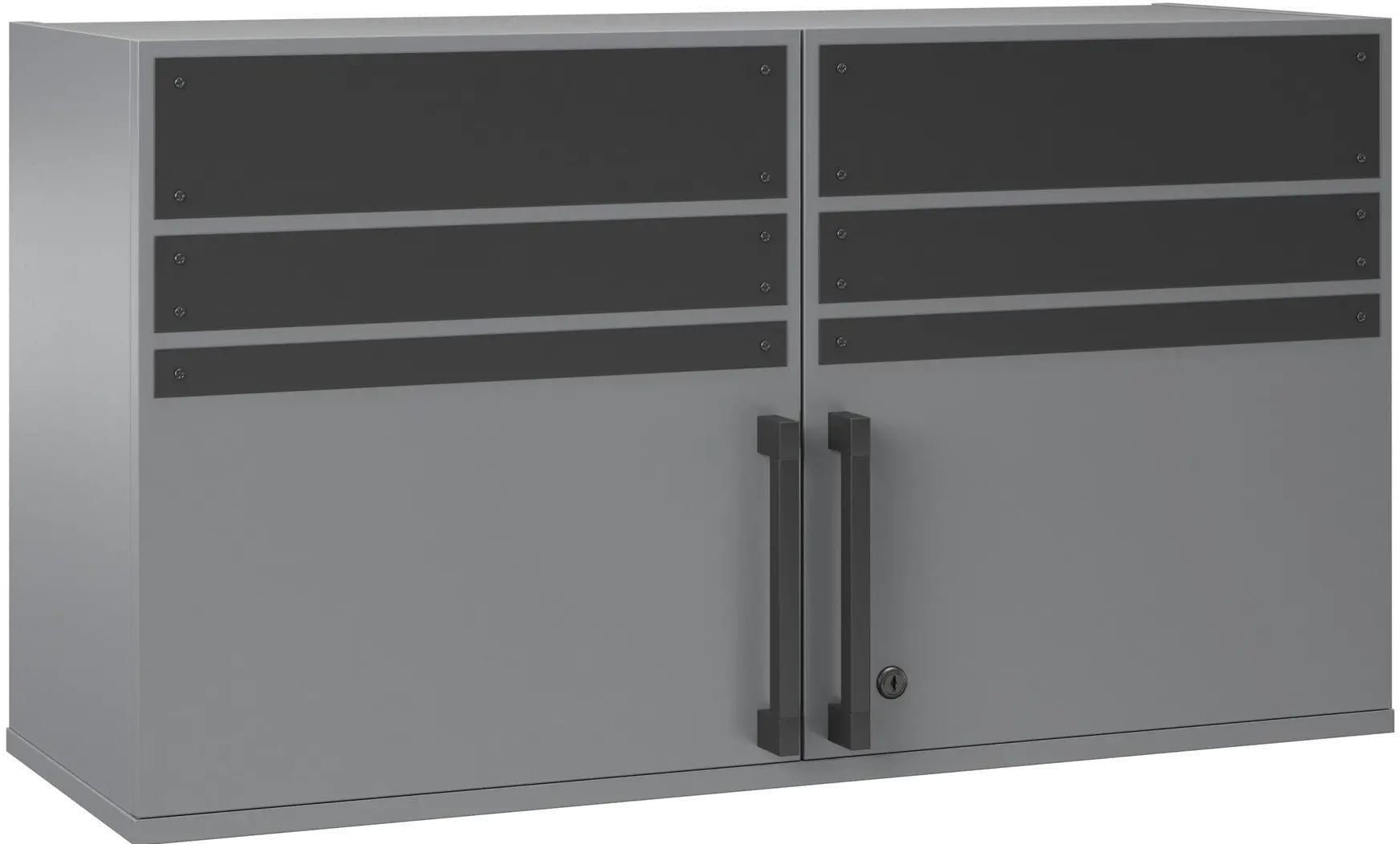 Shelby Graphite 2 Door Garage Wall Cabinet-1