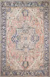 I166-RU-8X10-NH209 Zenainda Distressed Rust 8 x 10 Area Rug
