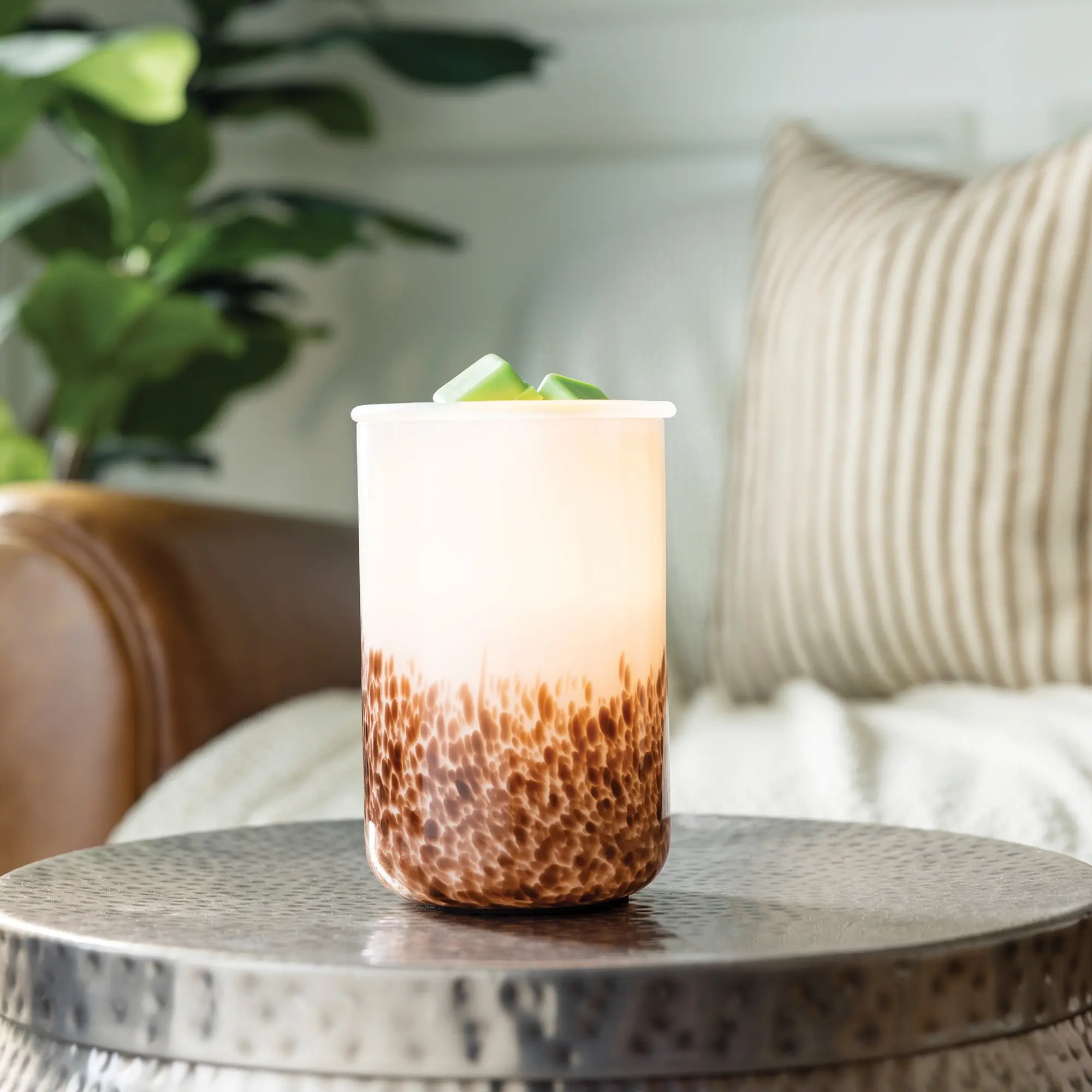 Tirris Illumination Warmer-2