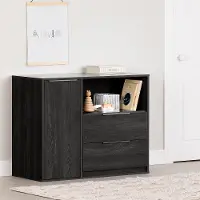 13988 Hourra Gray Oak 2-Drawer Dresser with Door - South Shore