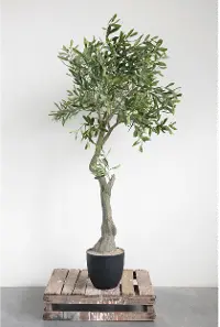 DF2602/OLIVE-TREE 5 Foot Greenery Tree