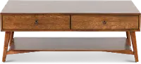 Robin Brown Coffee Table