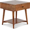 Robin Brown End Table