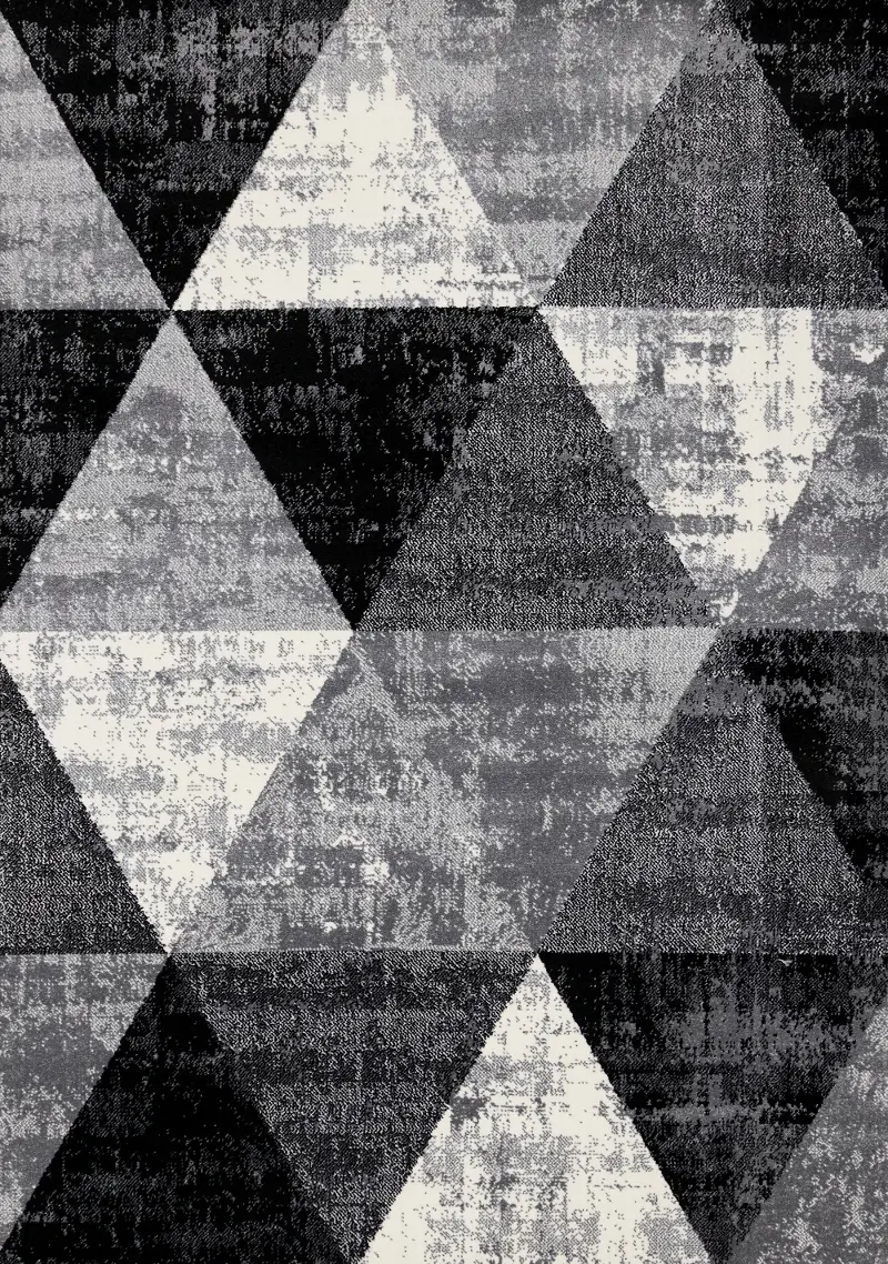 Century 4 x 6 Black and White Geometric Area Rug