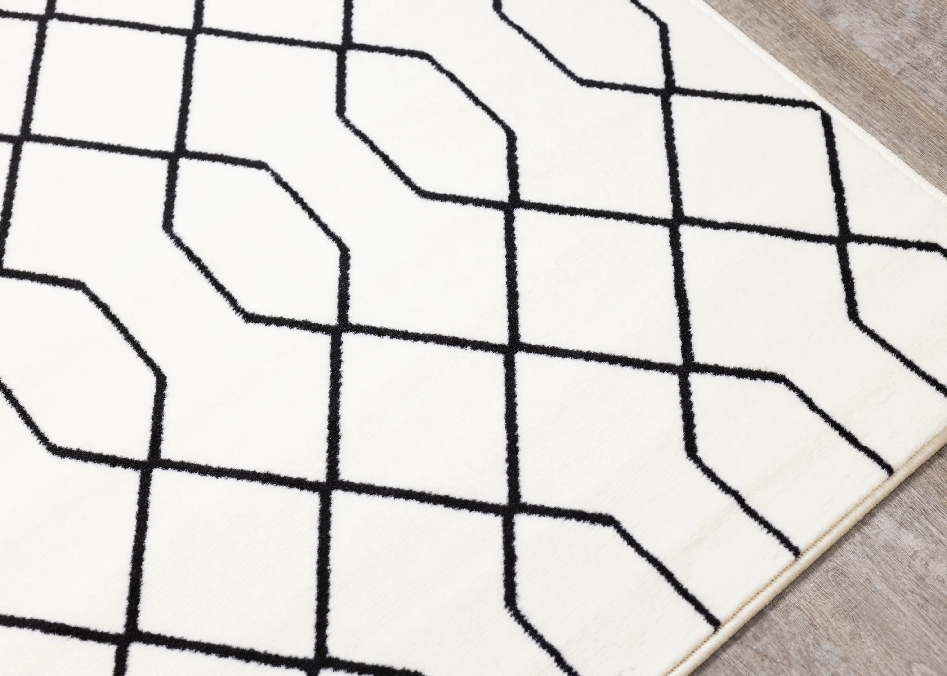 Faira Cream & Black Geometric 4 x 6 Area Rug-6