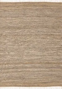 Naturals 8 x 10 Braided Jute Area Rug