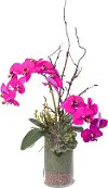 33  Pink Orchids in Glass Vase