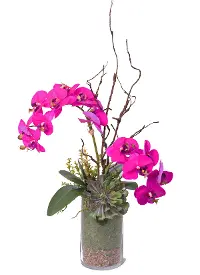 33  Pink Orchids in Glass Vase