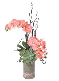 31  Pink Orchids in Glass Vase