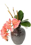 16  Orange Orchid in Brown Vase