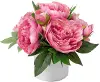 10  Pink Peonies in White Pot
