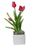 17  Red Tulips in White Square Pot