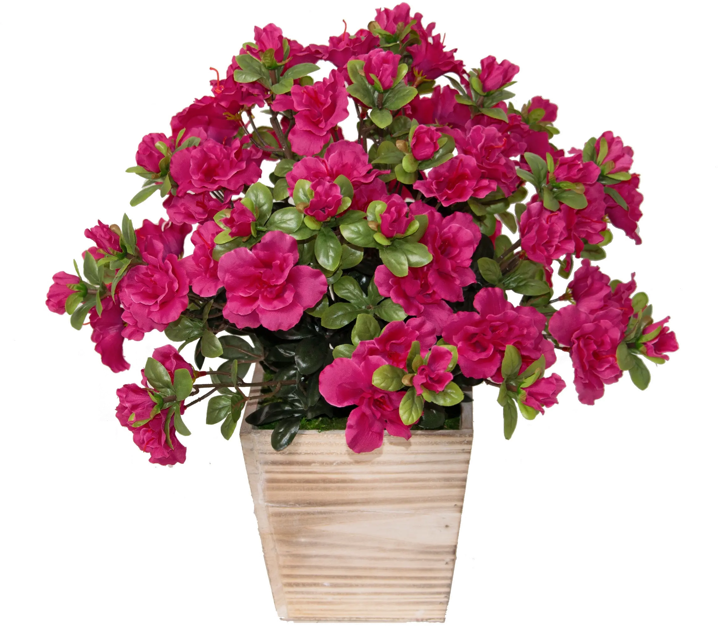 17  Red Azalea Wood Planter-1