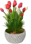 19  Multicolor Tulip in Stone Pot