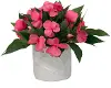 9  Pink Impatiens In Stone Vase