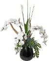 42  White Orchid Black Vase
