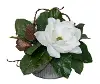 13  Magnolia Metal Planter