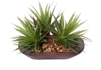 Faux Succulents in Wood Bowl