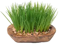 Faux Wheat Grass Plant in Wood Bowl