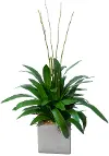 Assorted Bamboo With Orchid Leaf