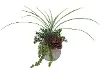 16  Succulent Grass Stone Pot
