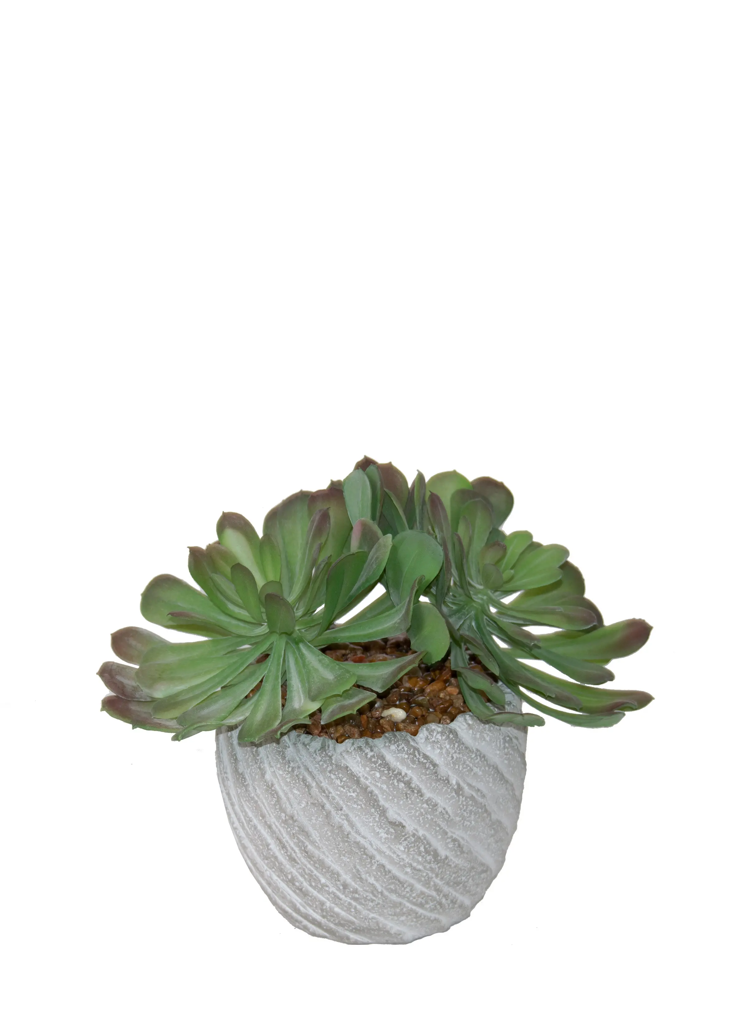 9  Succulent Stone Pot-1