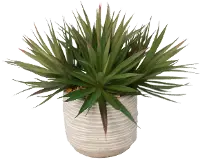 Faux Spikey Succulent in Stone Pot