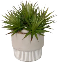 Faux Spikey Succulent in Stone Pot
