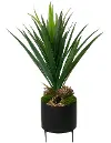 28  Yucca Pot With Stand