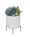 Faux Blue Succulent Plants in Pot with Stand