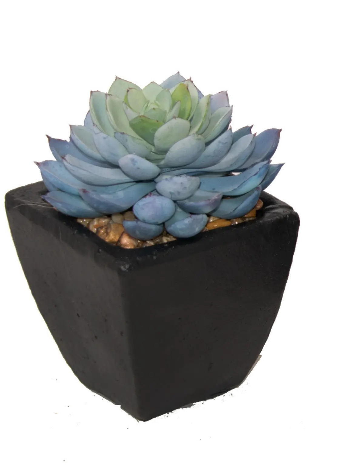 Faux Echeveria Succulent in Stone Pot-1