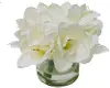 9  White Amaryllis Glass Vase