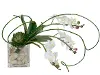 14  White Mini Orchid Glass Square