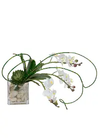 14  White Mini Orchid Glass Square