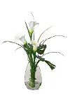 24  White Calla Lillies with Vase