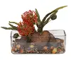 10  Pincushion Protea Vase