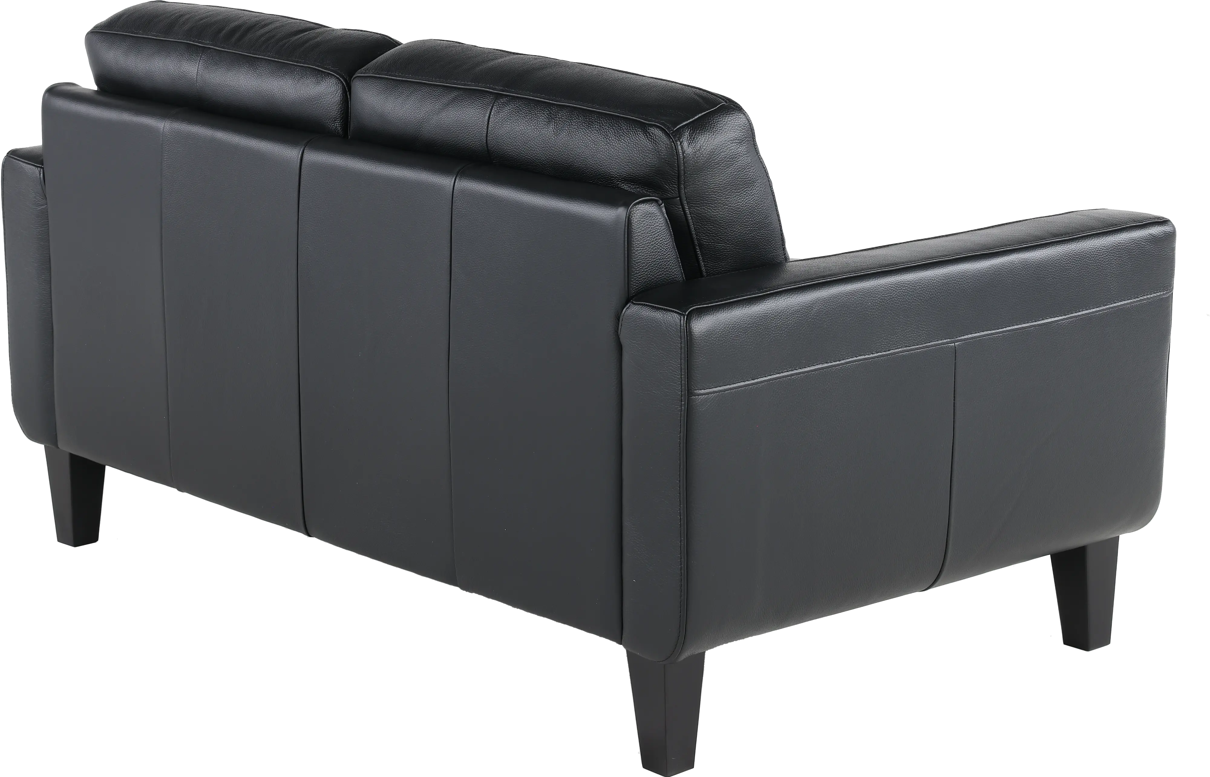 Cameron Black Leather Loveseat-5