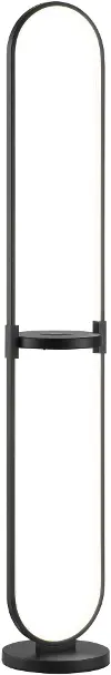 Black LED Wireless Floor Lamp
