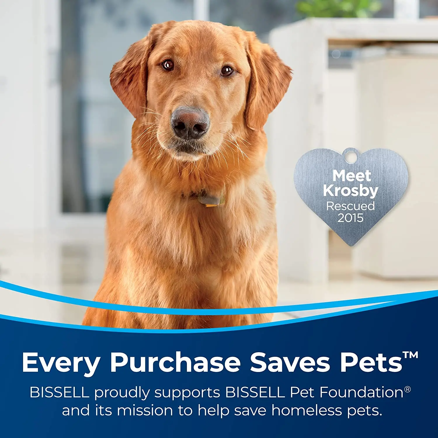 3588/PROHEAT/PET_PRO Bissell ProHeat 2X® Revolution® Pet Pro Bagless Carpet Cleaner-2