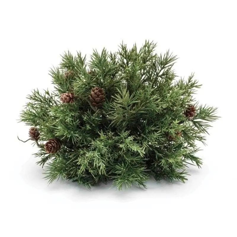 Woodland Pine 7