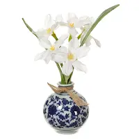 8  Paperwhite Flowers In Oriental Vase